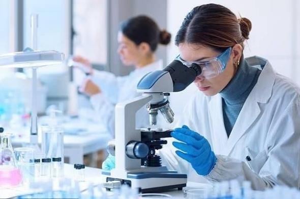 «غراء
      جزيئي»
      لتدمير
      خلايا
      سرطان
      الكلى