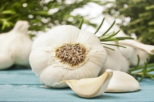 دراسة: الثوم مُخفّض ممتاز للكوليسترول الضار