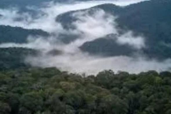 تبخر الأنهار الطائرة.. تقرير يحذر من تهديد جفاف الأمازون للحياة فى القارة