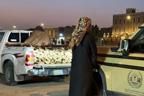 الأمن
البيئي
يضبط
مخالفًا
لنقله
حطبًا
محليًا
في
الرياض