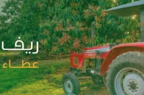 برنامج
ريف:
لا
يمكن
الحصول
على
الدعم
حال
التسجيل
في
التأمينات