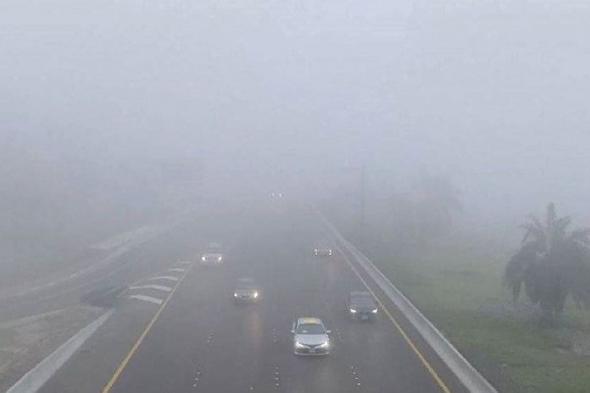 طقس الإمارات غداً.. ارتفاع درجات الحرارة مع احتمال تشكل الضباب