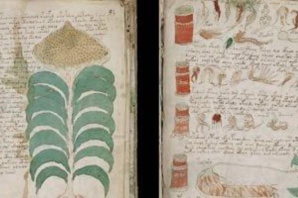 كشف
أسرار
التاريخ..
الذكاء
الاصطناعى
يفك
رموز
وقواعد
لعبة
رومانية
قديمة