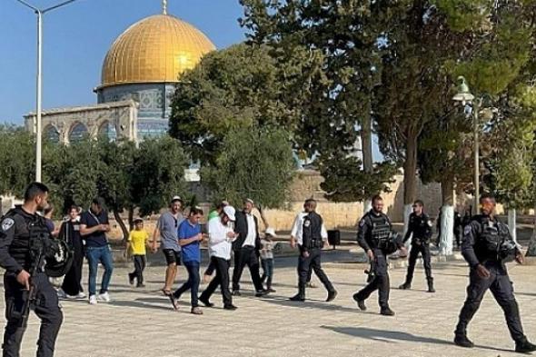 241
مستوطنا
يقتحمون
المسجد
الأقصى