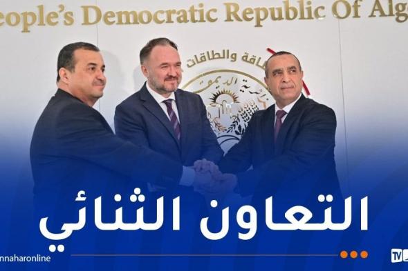 الجزائر
والاتحاد
الأوروبي..شراكة
استراتيجية
في
مجال
الطاقة