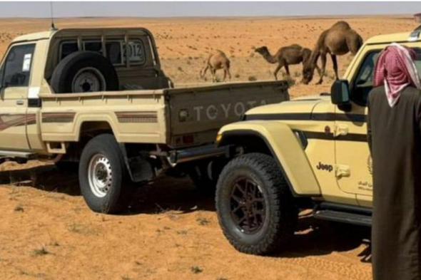 «الأمن
    البيئي»
    يضبط
    مواطنًا
    لارتكابه
    مخالفة
    رعي
    في
    محمية
    الإمام
    تركي
    بن
    عبدالله
    الملكية