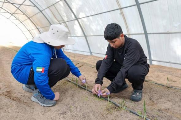 «من
هنا
البداية»..
40
عاماً
من
الإبداع
وبناء
الإنسان