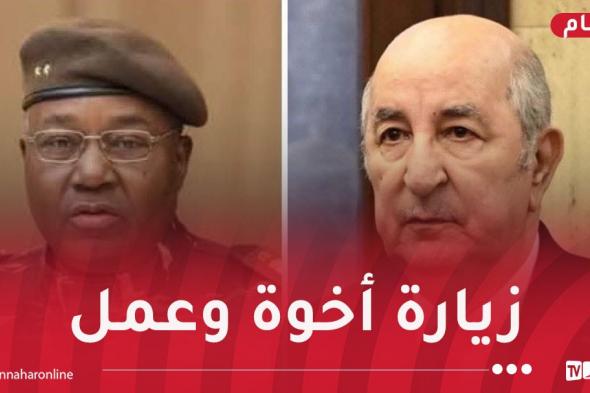 رئيس
جمهورية
النيجر
في
زيارة
إلى
الجزائر