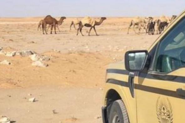 ضبط
    مواطن
    لارتكابه
    مخالفة
    رعي
    بمحمية
    الإمام
    عبدالعزيز
    بن
    محمد
    الملكية