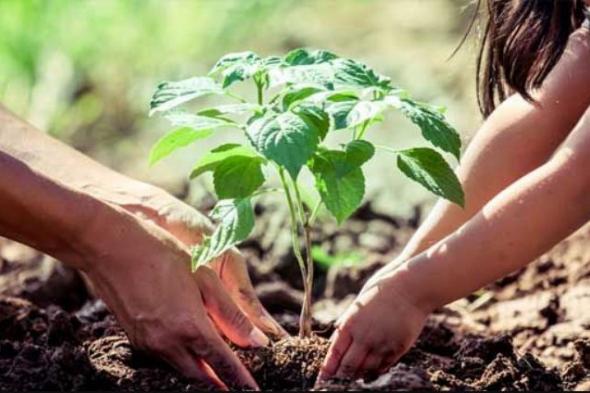 5
ملايين
شجرة..
انطلاق
أكبر
حملة
تشجير
عبر
الوطن