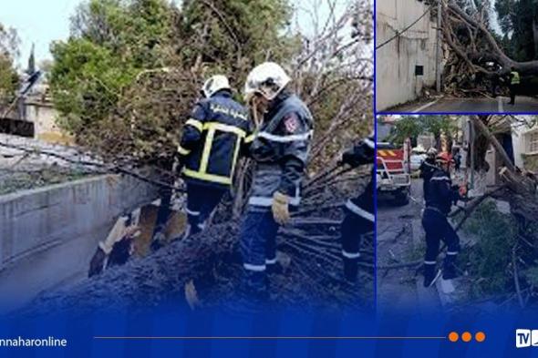 التقلبات
الجوية..
سقوط
أشجار
وانهيار
جدار
بعدة
ولايات