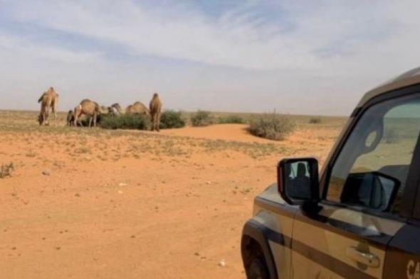 ضبط
    مواطن
    لارتكابه
    مخالفة
    رعي
    بمحمية
    الملك
    عبدالعزيز
    الملكية