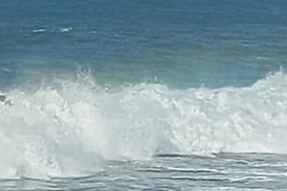 نشاط
رياح
وأتربة
عالقة..
ثانى
أيام
نوة
الشمس
الصغرى
بالإسكندرية