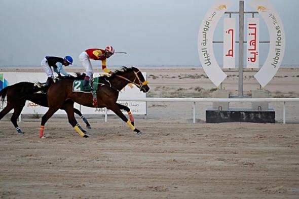 ميدان
    فروسية
    الجبيل
    يختتم
    موسم
    سباقات
    الخيل
    لعام
    1447هـ
