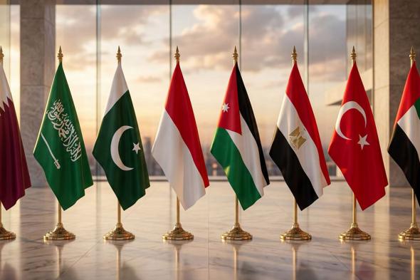 بيان مشترك لوزراء خارجية الإمارات وتركيا ومصر والأردن وإندونيسيا وباكستان والسعودية وقطر