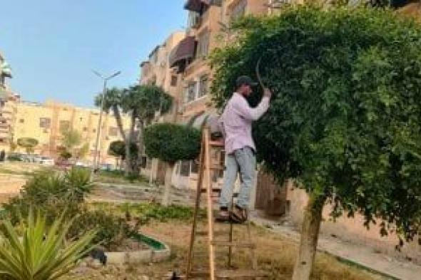 بورسعيد تُوسّع رقعتها الخضراء.. تنفيذ مبادرة 100 مليون شجرة في كل الأحياء بالمحافظة