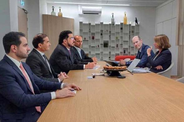 «ديوا العالمية» تبحث التعاون المشترك مع شركات الطاقة الفرنسية