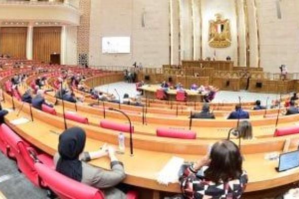 النواب ينتصر للفئات الأكثر احتياجًا.. دعم عينى وصحى وتأمينى تحت المجهر