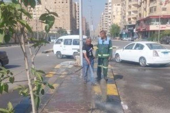 رفع مستوى النظافة بشارع ترسا وزراعة الجزيرة الوسطى بـ"العامل الأول" بالجيزة