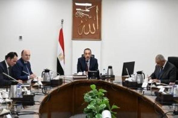 الحكومة: تحويل مصر إلى مركز إقليمى لصناعة الكتان بحلول عام 2030
