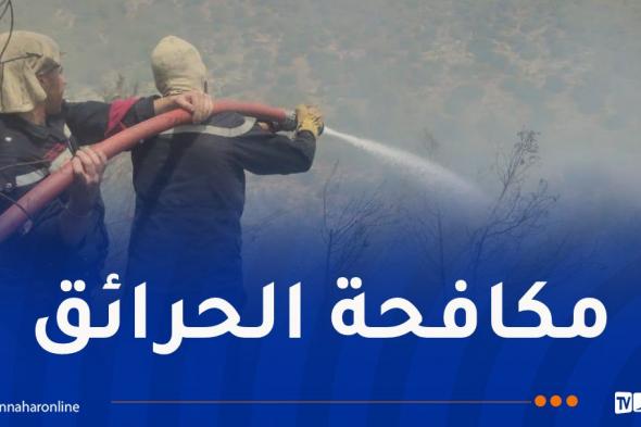 الحماية المدنية: إخماد 19 حريقًا وتواصل عمليات الإطفاء في 7 ولايات