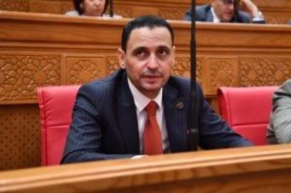 نائب: مؤتمر المصريين بالخارج نافذة مهمة لدعم التواصل مع الطيور المهاجرة