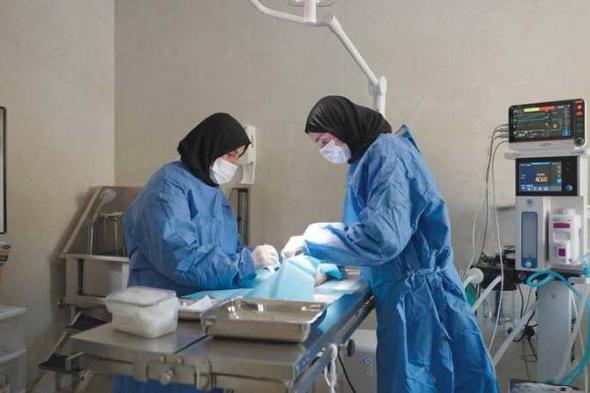 بلدية دبي تفتتح مأوى للحيوانات الأليفة في ورسان