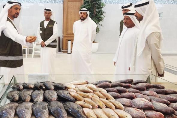 إغلاق 31 منشأة.. «التغير المناخي والبيئة» تتخذ إجراءات قانونية بحق المنشآت غير الملتزمة