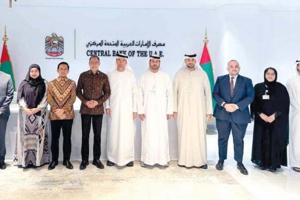 «المركزي» وإندونيسيا يبحثان تيسير تنفيذ المدفوعات البينية